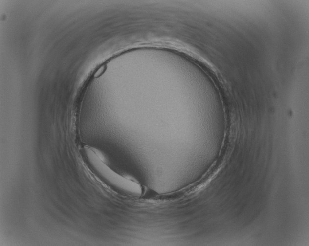 X0000081371506200702020152