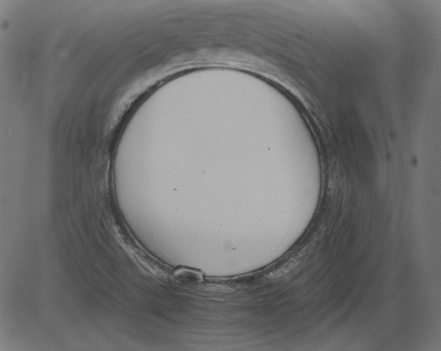 X0000081371507200702020152