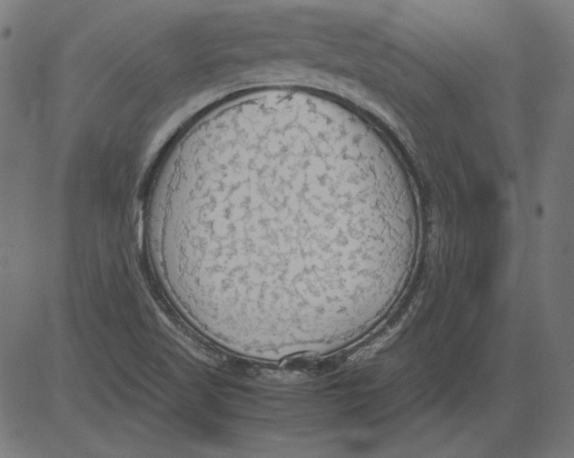 X0000081371509200702020152