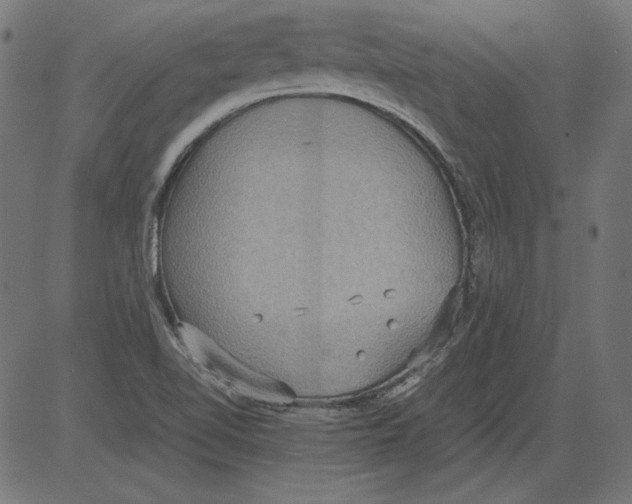 X0000081371510200702020152