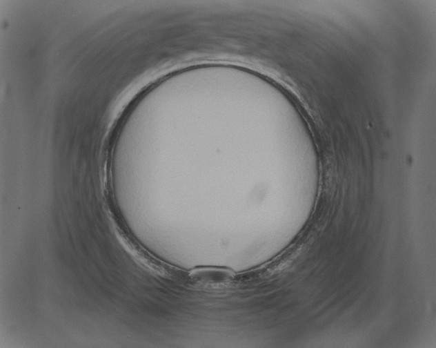 X0000081371511200702020152