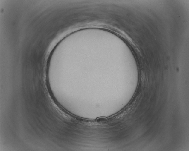 X0000081371512200702020152