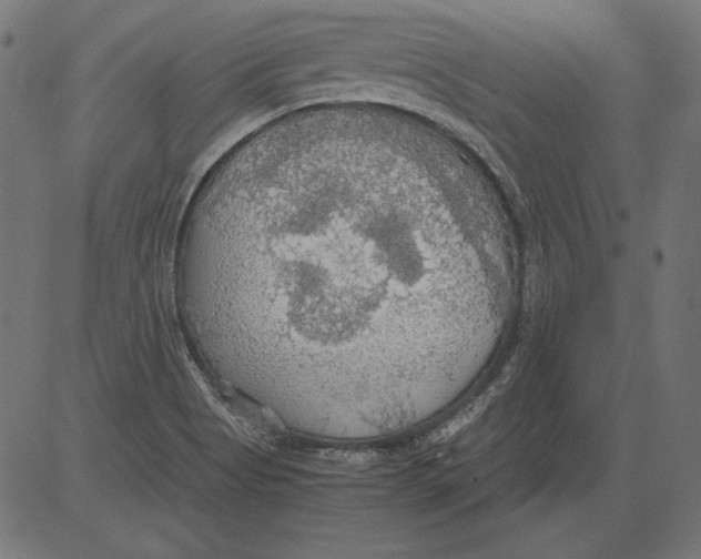 X0000081371513200702020152