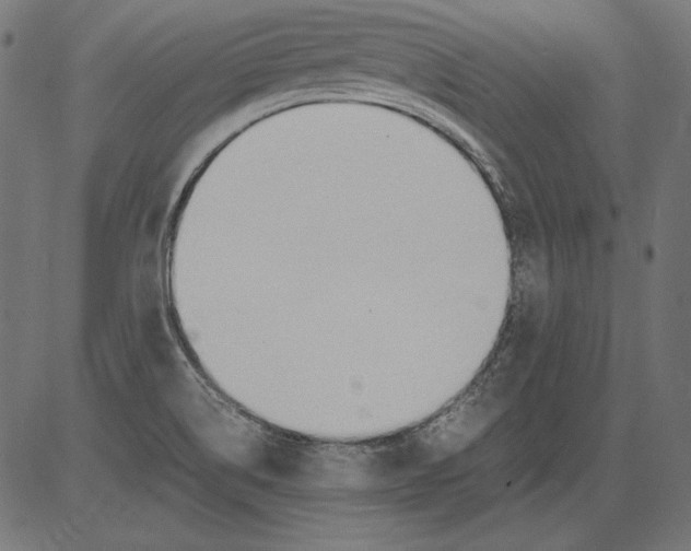 X0000081371514200702020152