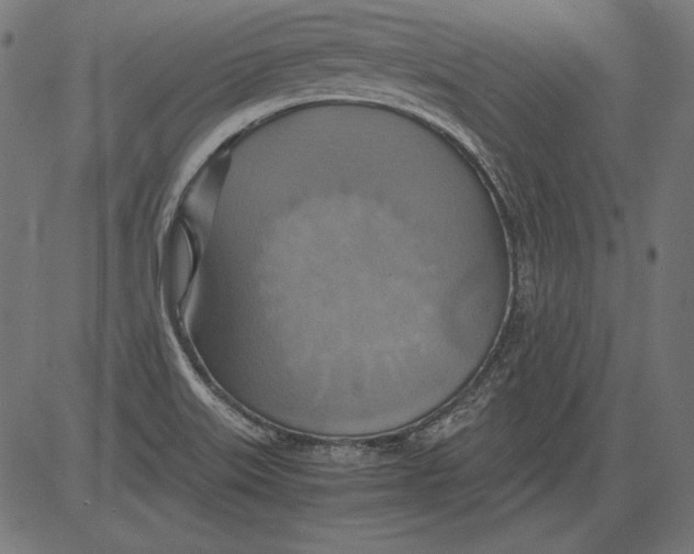 X0000081371515200702020152