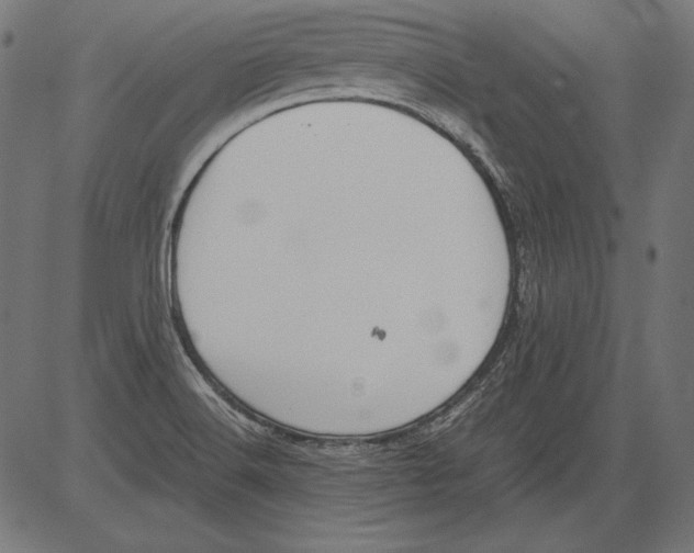 X0000081371516200702020152