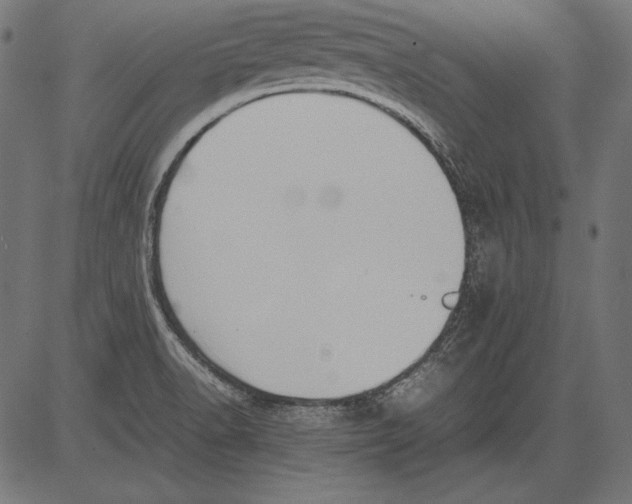 X0000081371518200702020152