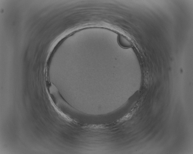 X0000081371519200702020152