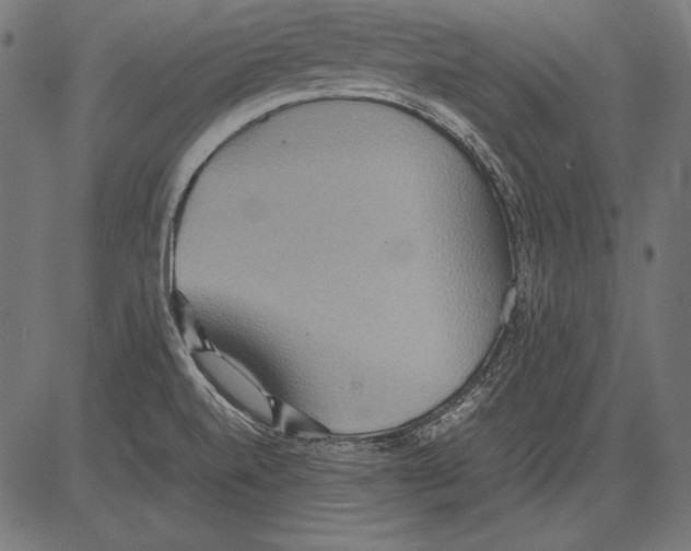 X0000081371520200702020152