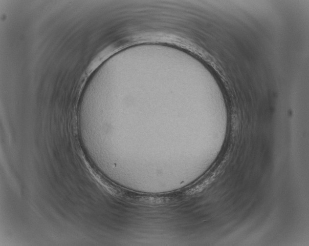 X0000081371521200702020152