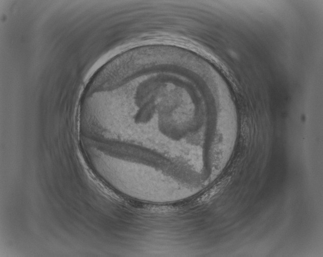 X0000081371522200702020152