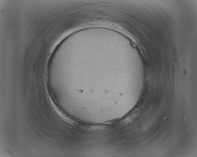 X0000081371523200702020152