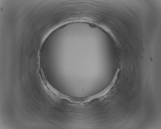 X0000081371524200702020152