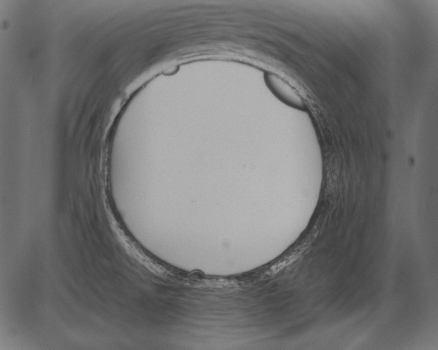 X0000081371526200702020152