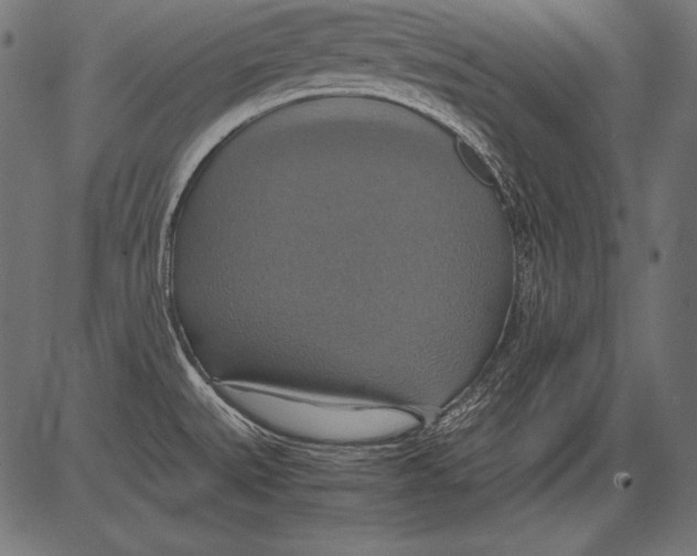 X0000081371527200702020152