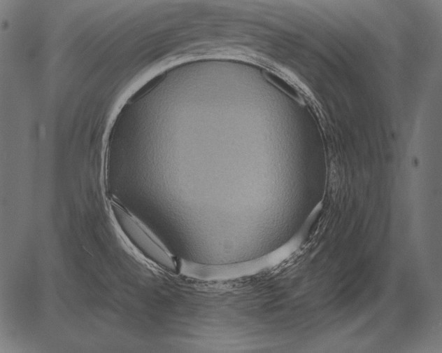 X0000081371528200702020152