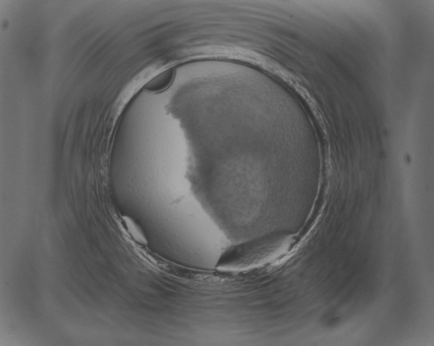 X0000081371529200702020152