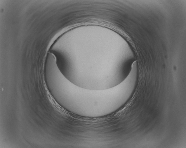 X0000081371530200702020152