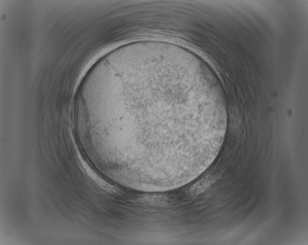 X0000081371531200702020152