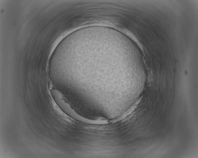 X0000081371532200702020152