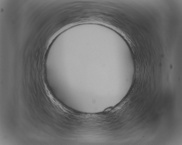 X0000081371534200702020152