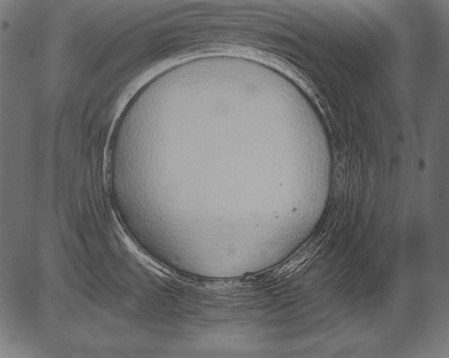 X0000081371535200702020152