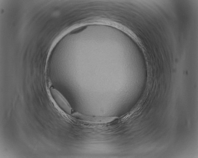 X0000081371536200702020152