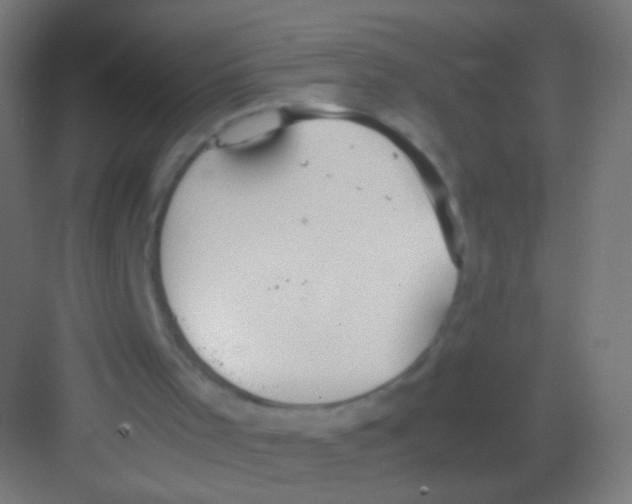 X0000081370001200702082358