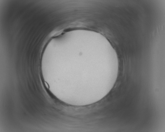 X0000081370003200702082358