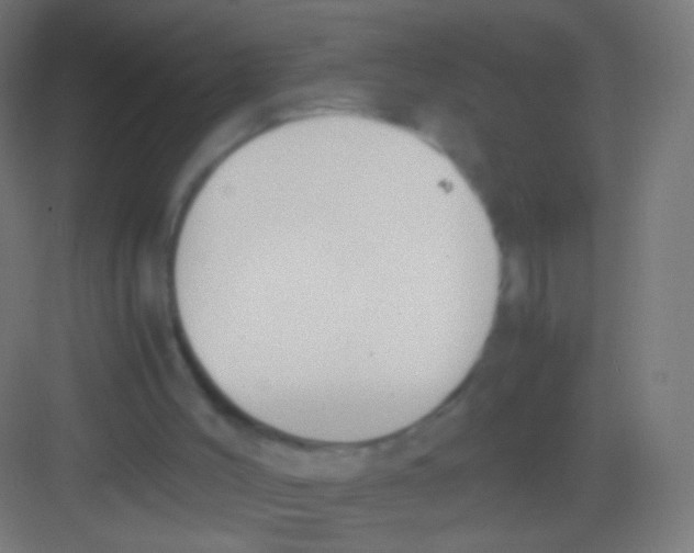 X0000081370004200702082358