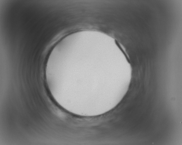 X0000081370005200702082358