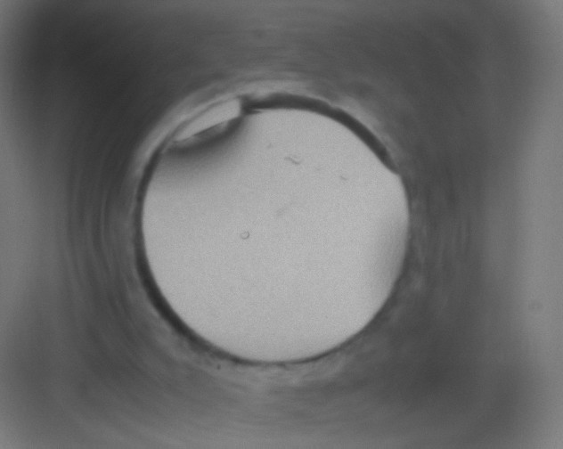 X0000081370007200702082358