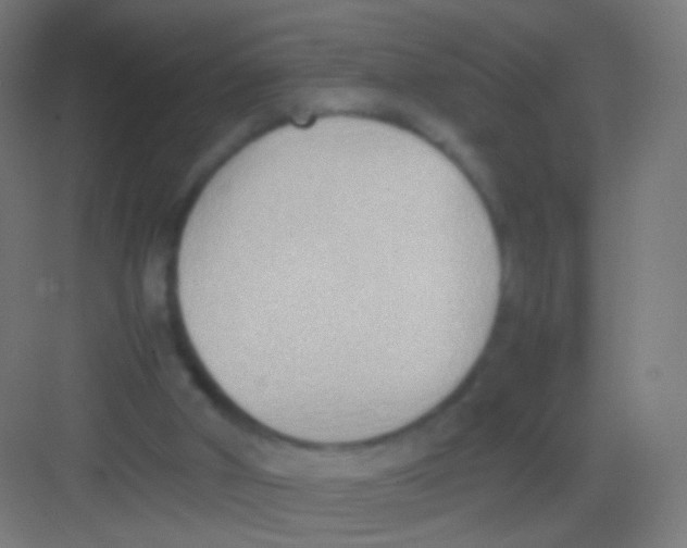 X0000081370010200702082358