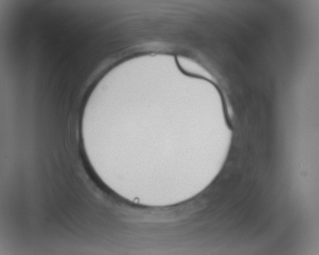 X0000081370011200702082358