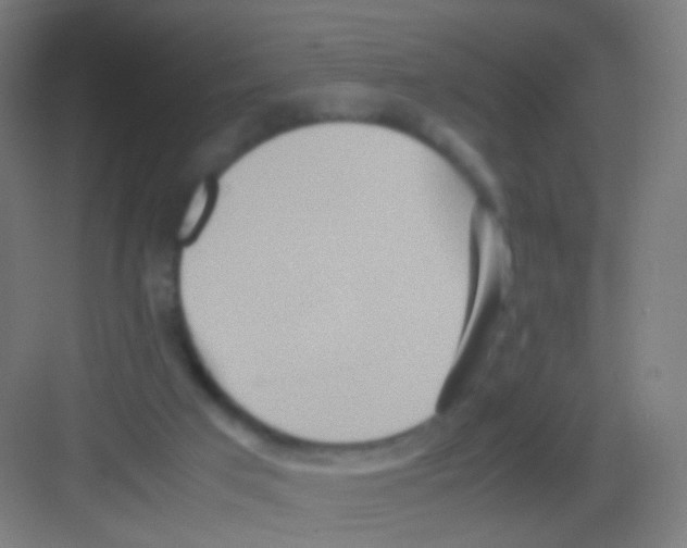 X0000081370017200702082358