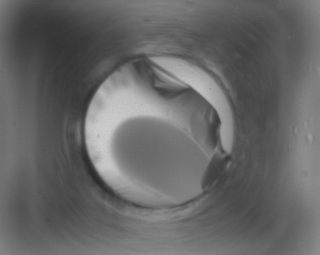 X0000081370019200702082358