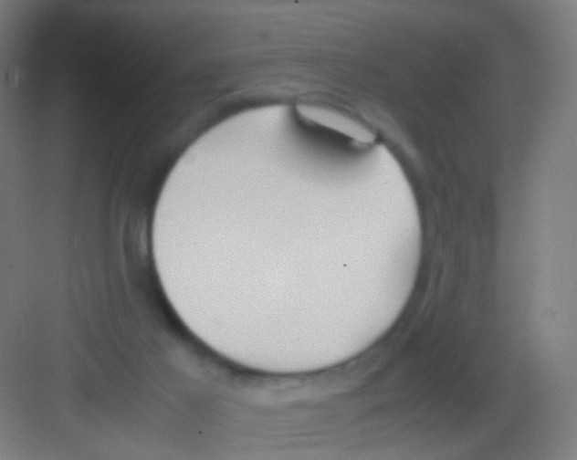 X0000081370021200702082358