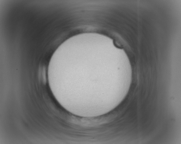 X0000081370022200702082358