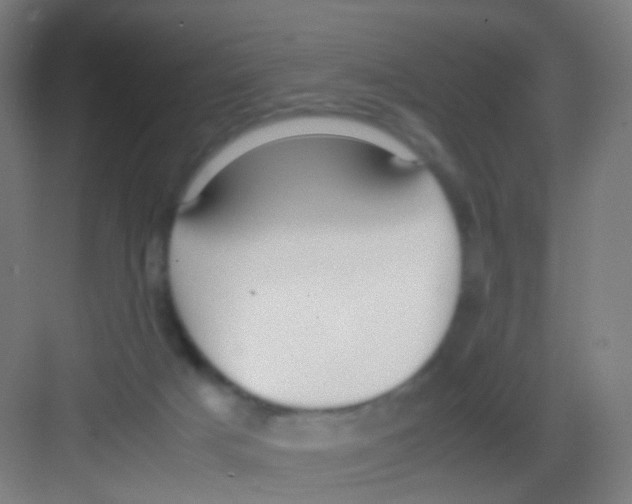 X0000081370025200702082358