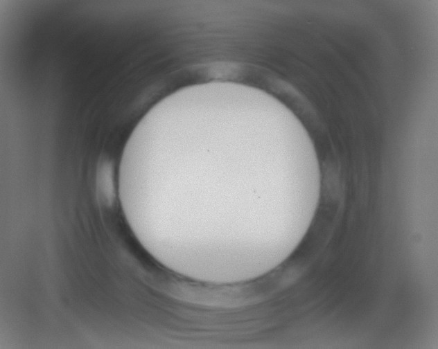 X0000081370028200702082358