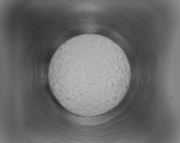 X0000081370030200702082358