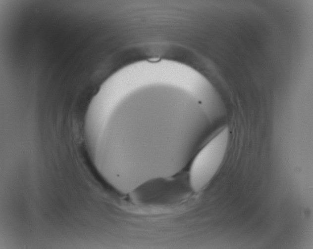 X0000081370031200702082358