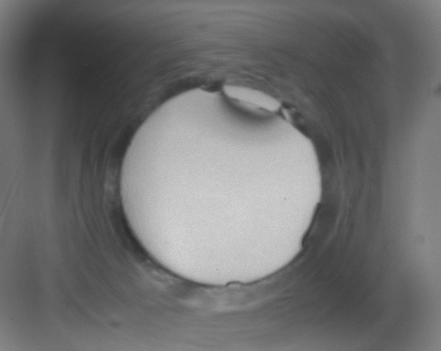 X0000081370033200702082357