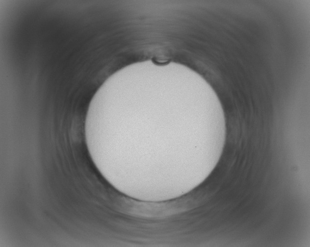 X0000081370034200702082357