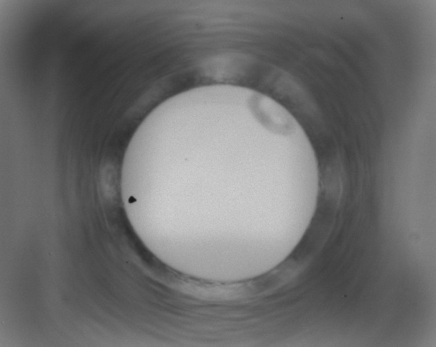 X0000081370036200702082357