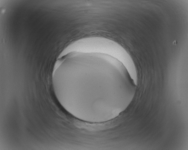 X0000081370039200702082357