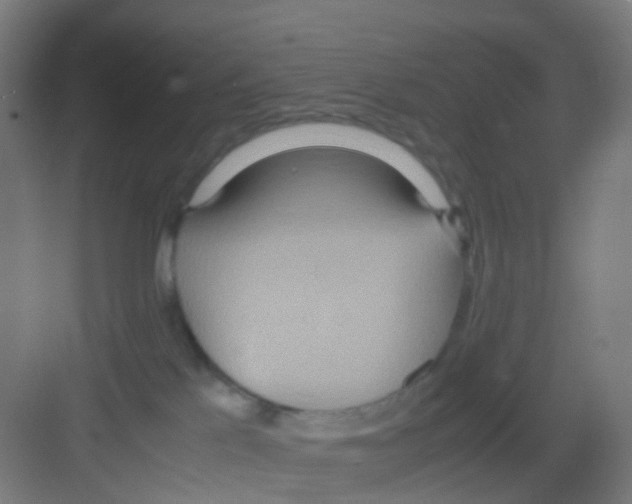 X0000081370041200702082357