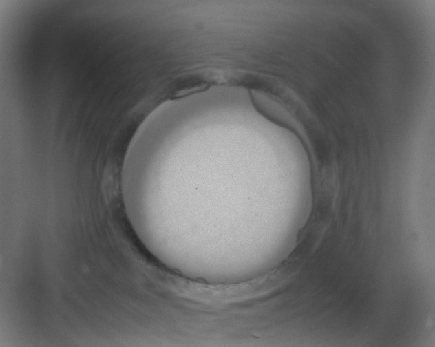 X0000081370043200702082357