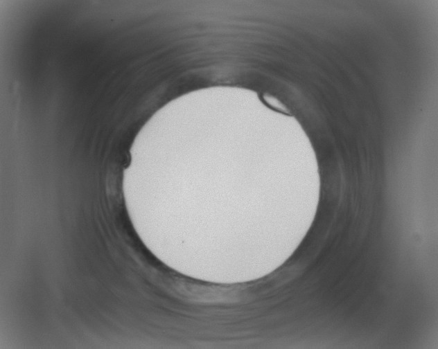 X0000081370044200702082357