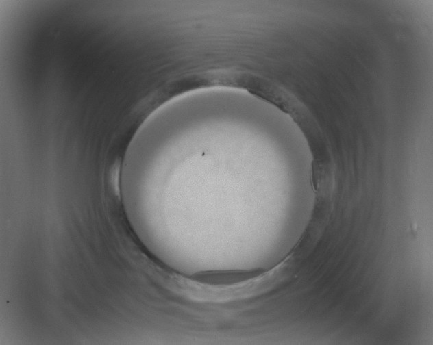 X0000081370047200702082357